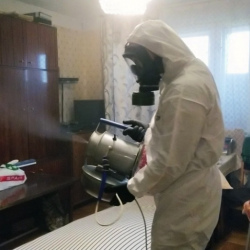 Дезинфекция от клопов в Гусеве