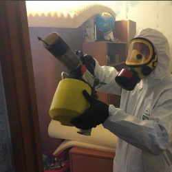 Уничтожение клопов в квартире. Гусев